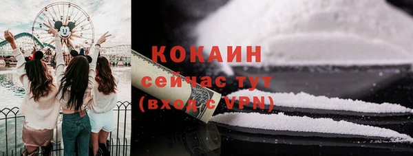 первитин Богородицк