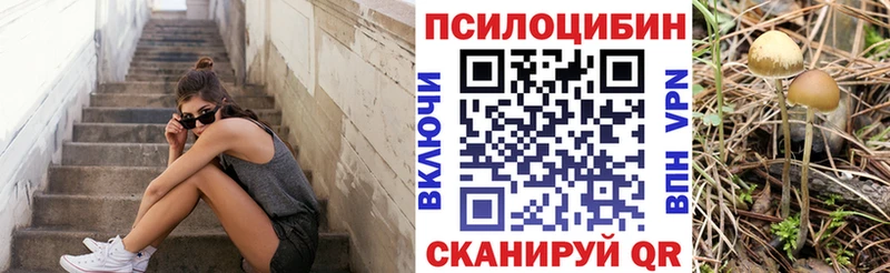 Псилоцибиновые грибы Cubensis  Сочи 